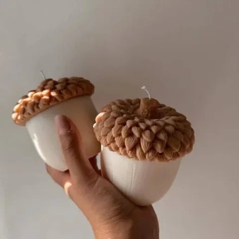 ثمرة الجوز