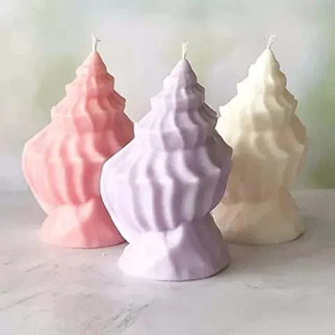 صدفة طولية مضلعة