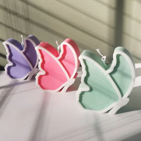 Outlined Butterfly Mold